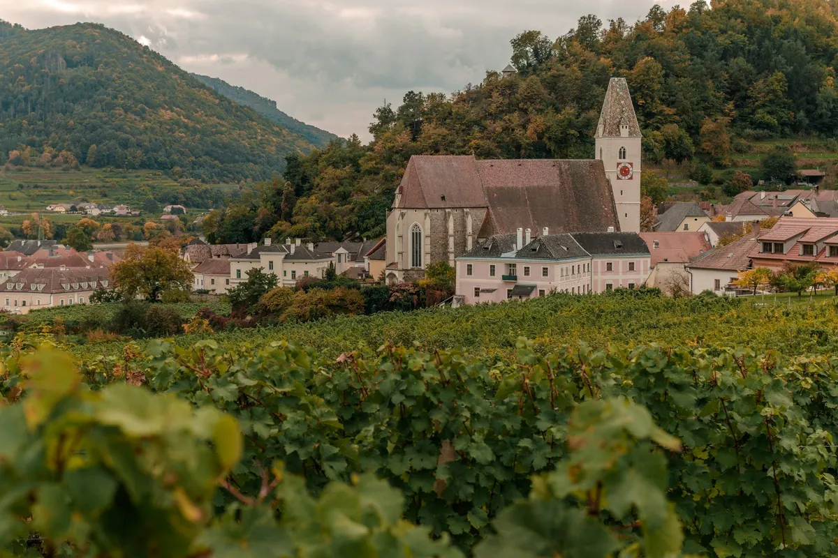 Weinberge und Kirche in der Wachau, Niederösterreich